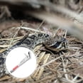 thumbnail image 1 of LOLIPPYY 35Ensemble Attrape-serpents en Acier Inoxydable Bouche Droite pour Capture d'Animaux Protection des Mains, 1 of 6
