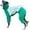 Green, variant on UOSIA Italian Greyhound Winter Coat Sweater Warm Fleece Dog Jacket Jumpsuit