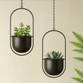 thumbnail image 4 of Clearance! Haidf Hanging Planter, Oval Metal Ceiling Hanging Plant Pots with Chain and Hook, Modern Decorative Hanging Planters for Indoor Outdoor Plants, Wall Hanging Flower Pot, 5.5", Black, 4 of 8