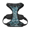 thumbnail image 5 of Lsque Blue Color Cactus Dog Harness, No-Pull Pet Harness with 2 Leash Clips, Adjustable Soft Padded Dog Vest with Easy Control Handle for Large Dogs-Medium, 5 of 9