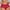 Red, variant on loopsun 2025 Summer Savings Womens Briefs,Women's Seamless Underwear BoxerShorts Breathable Lace Strapcross Underwear