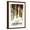 Brown Frame, variant on Art.com Colorado - Colorful Skis Art Print by Lantern Press, White Frame Wall Art, 17" x 23"