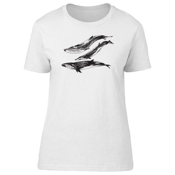 Lovely Amazing Whales Sketch Tee Women's -Image by Shutterstock