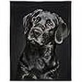 thumbnail image 3 of HommomH Black Lab Blanket, Gorgeous Labrador Dog Print, Soft Fluffy Fleece Throw 50"x60", 3 of 4