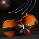 thumbnail image 2 of Cuerdas De Violín Tmvgtek Juego Completo De Cuerdas De Violín, Reemplazo De Cuerdas De Violín Para Violín 3/4 Y 4/4, 4 Uds. Likrtyny Para Estrenar, 2 of 8