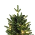thumbnail image 2 of Árboles con Luces Holiday Time 106 cm de alto con Maceta Metálica, 2 of 4