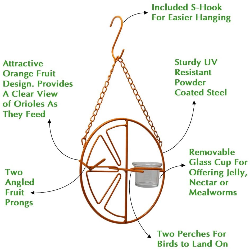 Mangeoire Pour Orioles Pour Extérieur Gelée Et Oranges Colibris M Tal Jardin Un Pack