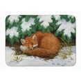 thumbnail image 1 of Carolines Treasures ASA2185RUG Naptime Fox Machine Washable Memory Foam Mat, 1 of 4
