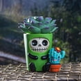 thumbnail image 6 of Furrybones Summit Collection Echy Figurine Decorative Signature Skeleton in Succulent Cactus Plant Costume 3 Inch Tall Collectible Statue, 6 of 6