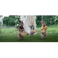 thumbnail image 4 of Peter Rabbit 1 & 2 - (DVD), 4 of 5