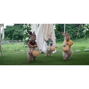 Peter Rabbit 1 & 2 - (DVD)