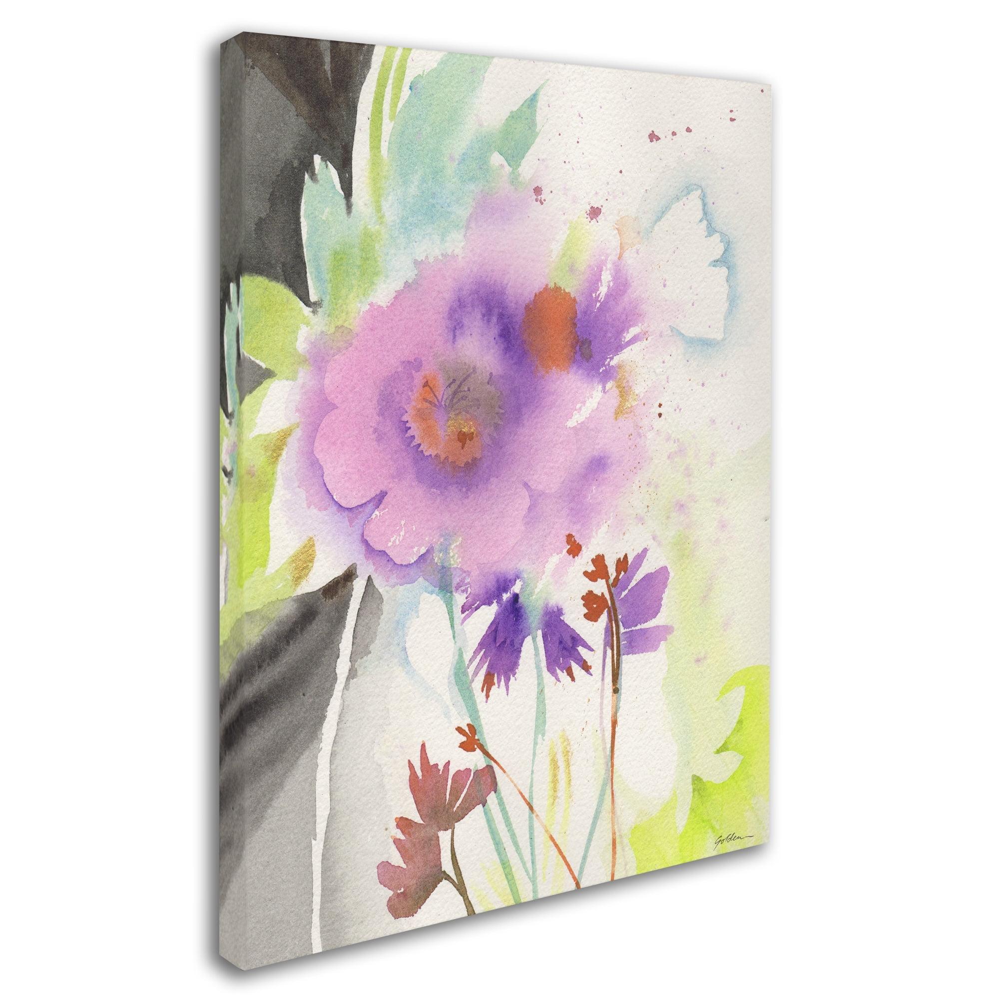 Trademark Fine Art "Mauve Garden Shadows" Canvas Art by Sheila Golden