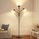 thumbnail image 1 of Lámpara de pie Coucrek, 183 cm, regulable, 3 luces, color negro, 1 of 8