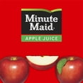 thumbnail image 4 of Minute Maid Apple Juice With Vitamin C Fruit Juice Drink 6 ct / 10 fl oz - 2 Box, 4 of 5
