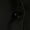 Black, variant on Womens Three-Quarter Bell Sleeve Button Down Shirts Casual Ruffle Hem Tops Eyelet Blouse Black XXL