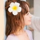 thumbnail image 4 of 20 horquillas para el pelo con flores de Plumeria, pinzas para el pelo con flores delicadas, pasador para mujeres y niñas, 4 of 5