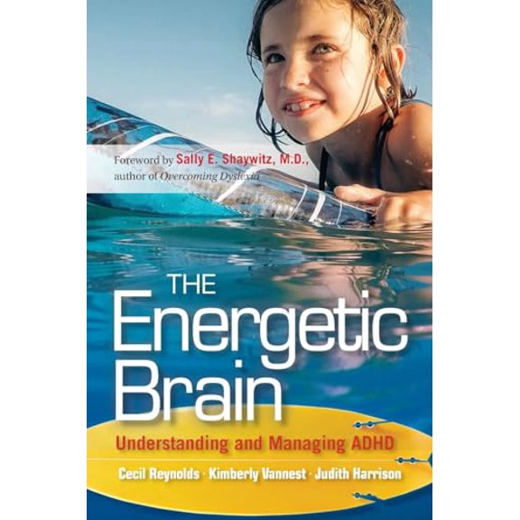 Pre-Owned The Energetic Brain (Paperback) 0470615168 9780470615164