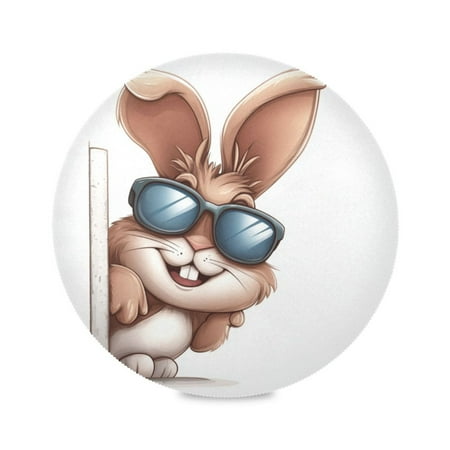 

Round Placemat Set 15.4 Inch Diameter Table Mats Heat-Resistant Decorative for Dining Tables Smiling Cartoon Bunny