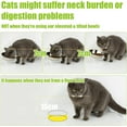 thumbnail image 4 of Yangbaga Raised Cat Food & Water Bowl, 4.96 in High Cat Food Bowl for Indoor Cats, Reduce Neck Burden & Easy to Clean, 4 of 6