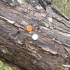 Remington Reflective Tacks, Orange and White