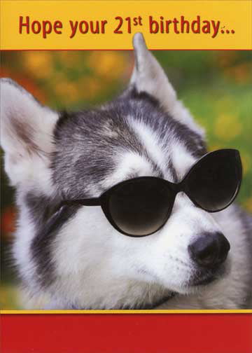 husky sunglasses