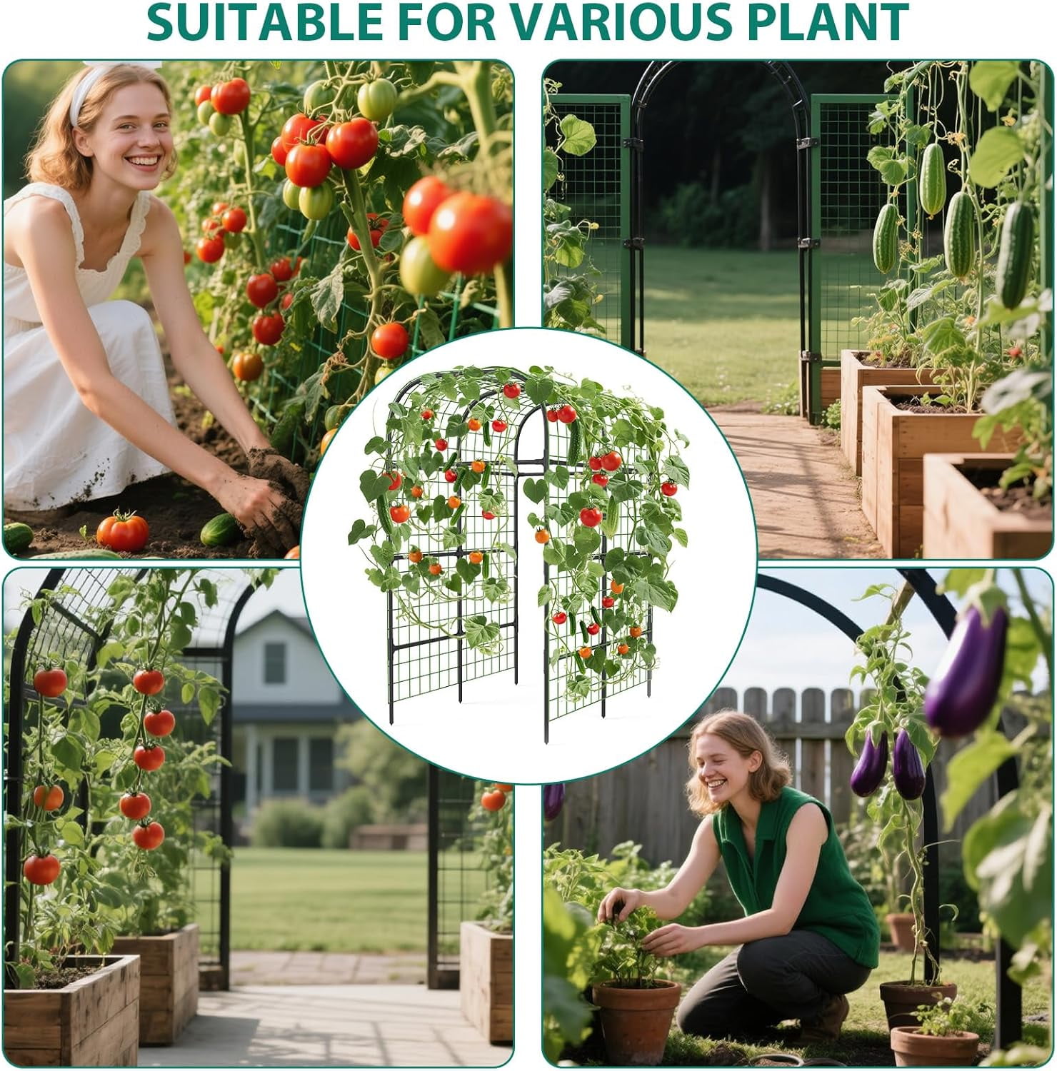 Sturdy 7.3ft Metal Garden Arch Trellis for Raised Beds – Black Plant Support Frame – Supports Climbing Vegetables, Cucumbers, and Vines – Plastic Connectors – Color: None