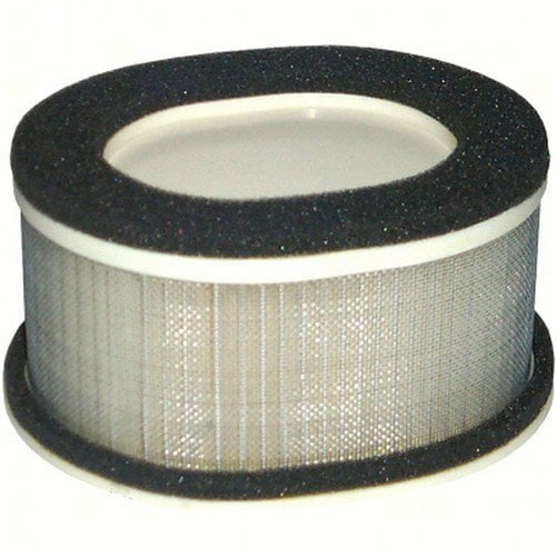 Hiflofiltro HFA4911 Premium OE Replacement Air Filter, Black