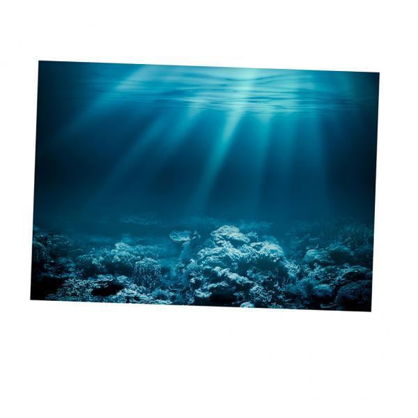 2xAquarium 3D Etiqueta de Fondo Pecera Decoración de Pared Pintura PVC L Salvador Vinilo decorativo pecera