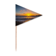 thumbnail image 1 of Image de Nature de Mer d'Océan d'Eau de Plage Cure-Dent Triangle Toppers de Cupcake Drapeau, 1 of 3