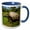 Blue/White, variant on 3drose, Giant Tortoise, Fregate Island, Seychelles-af39 Awr0009 - Alison Wright, 11oz Two-tone Yellow Mug