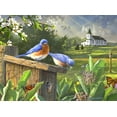 thumbnail image 4 of Buffalo Games 1000-Piece Hautman Brothers - Birds, Blooms and Butterflies Interlocking Jigsaw Puzzle, 4 of 6