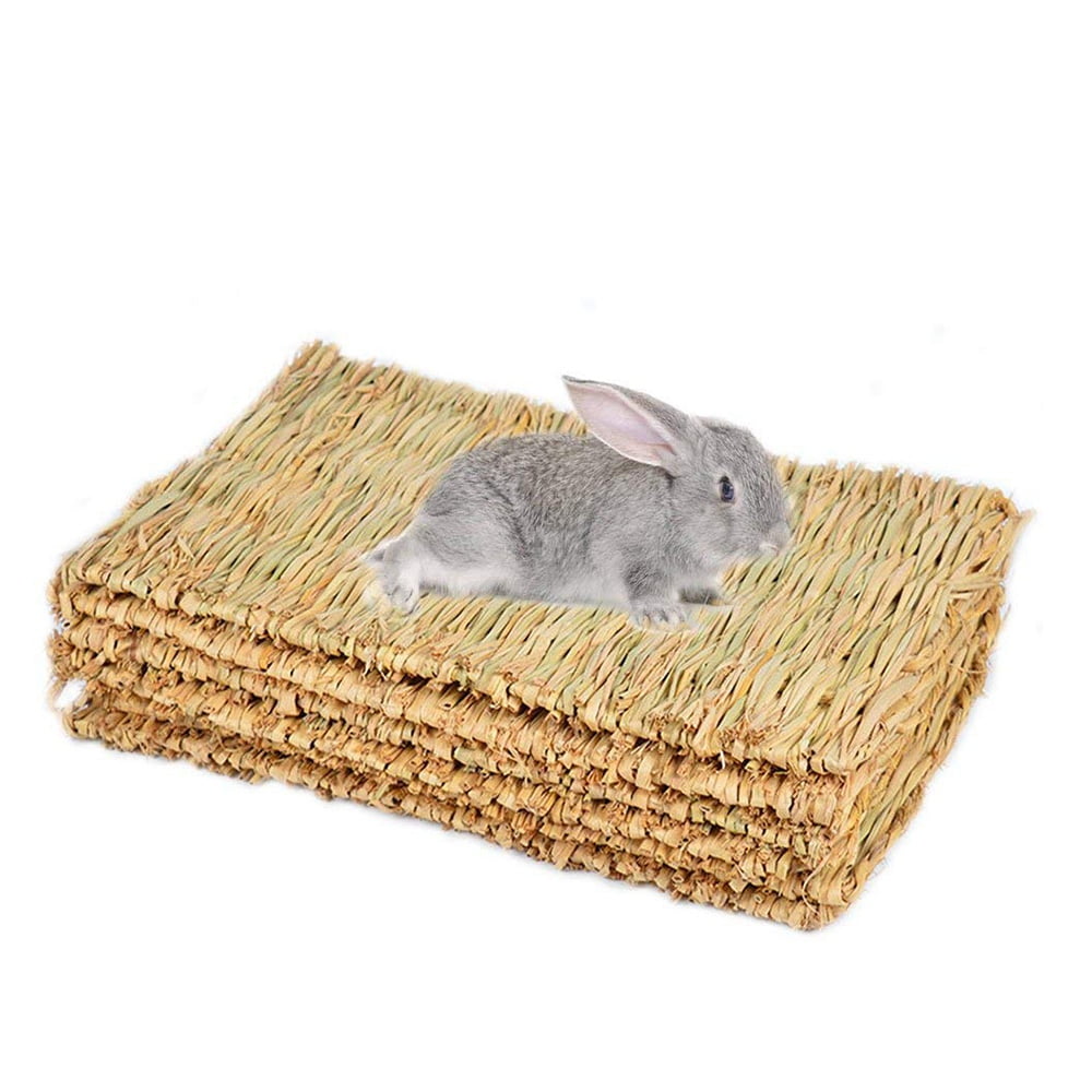 safe chew toys for rabbits