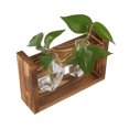 thumbnail image 1 of Innovative Flower Pot, Decorative Transparent Tabletop Vase For Indoor Outdoor Plants, 1 of 8