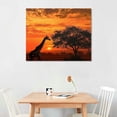 thumbnail image 2 of BCIIG   African Giraffe At Sunset Serengeti National Park Tanzania Africa Wild Animal Tree Photo Photograph Nature Landscape Cool Wall Decor Art Print   Bedroom   20x16in, 2 of 6