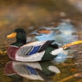 thumbnail image 4 of unbranded Decorativa De Pato De Resina Para Jardín Patio Y Multicolor, 4 of 6