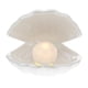 thumbnail image 1 of Lámpara de noche de cerámica, decoración de escritorio, luz de concha, lámpara de mesilla de estilo europeo, blanca, 1 of 7