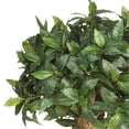 thumbnail image 5 of Pemberly Row 48" Sweet Bay Double Ball Topiary Silk Tree in Green/Black, 5 of 5