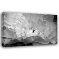thumbnail image 1 of Brian Moore 24x17 Gallery Wrapped Canvas Wall Art Titled - Macro Flower II, 1 of 4
