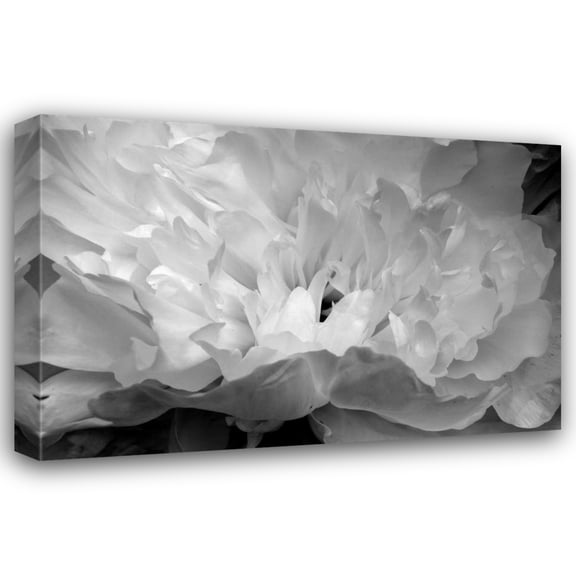 Brian Moore 18x13 Gallery Wrapped Canvas Wall Art Titled - Macro Flower II