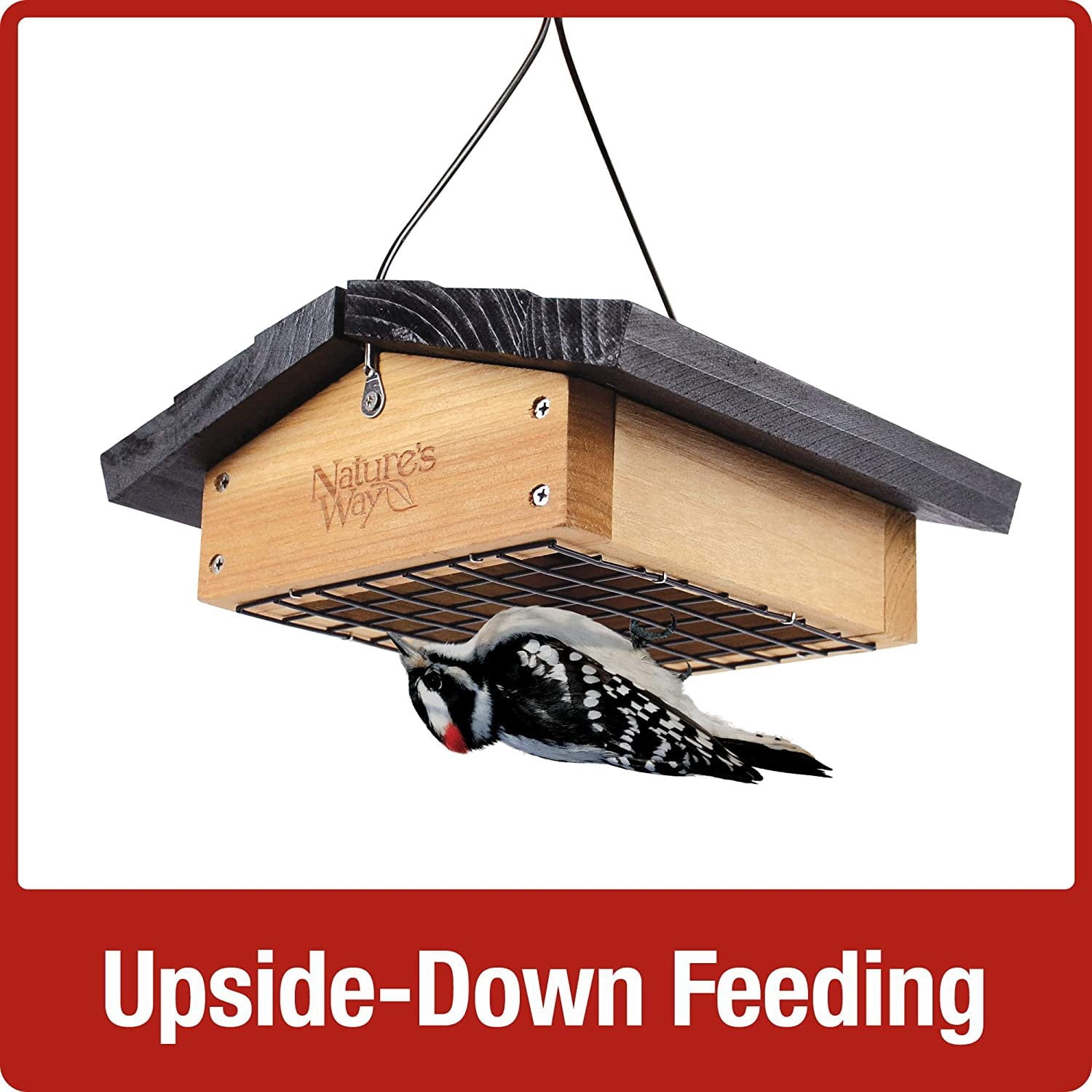 Nature's Way Bird Products Cedar Upside-Down 1-Cake Multi-Bird Suet Feeder, 1 lb Capacity