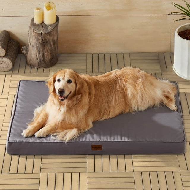 cama ortopédica impermeable para perros grandes bfpethome para perros grandes, colchón rectangular gris (36 x 27 x 3 pulgadas) con costuras ribeteadas y etiqueta frontal, relleno de espuma de alta densidad, perro grande recostado sobre un porche de piso de madera, superficie impermeable visible; también adecuada para viajes o jaulas por su diseño rectangular.