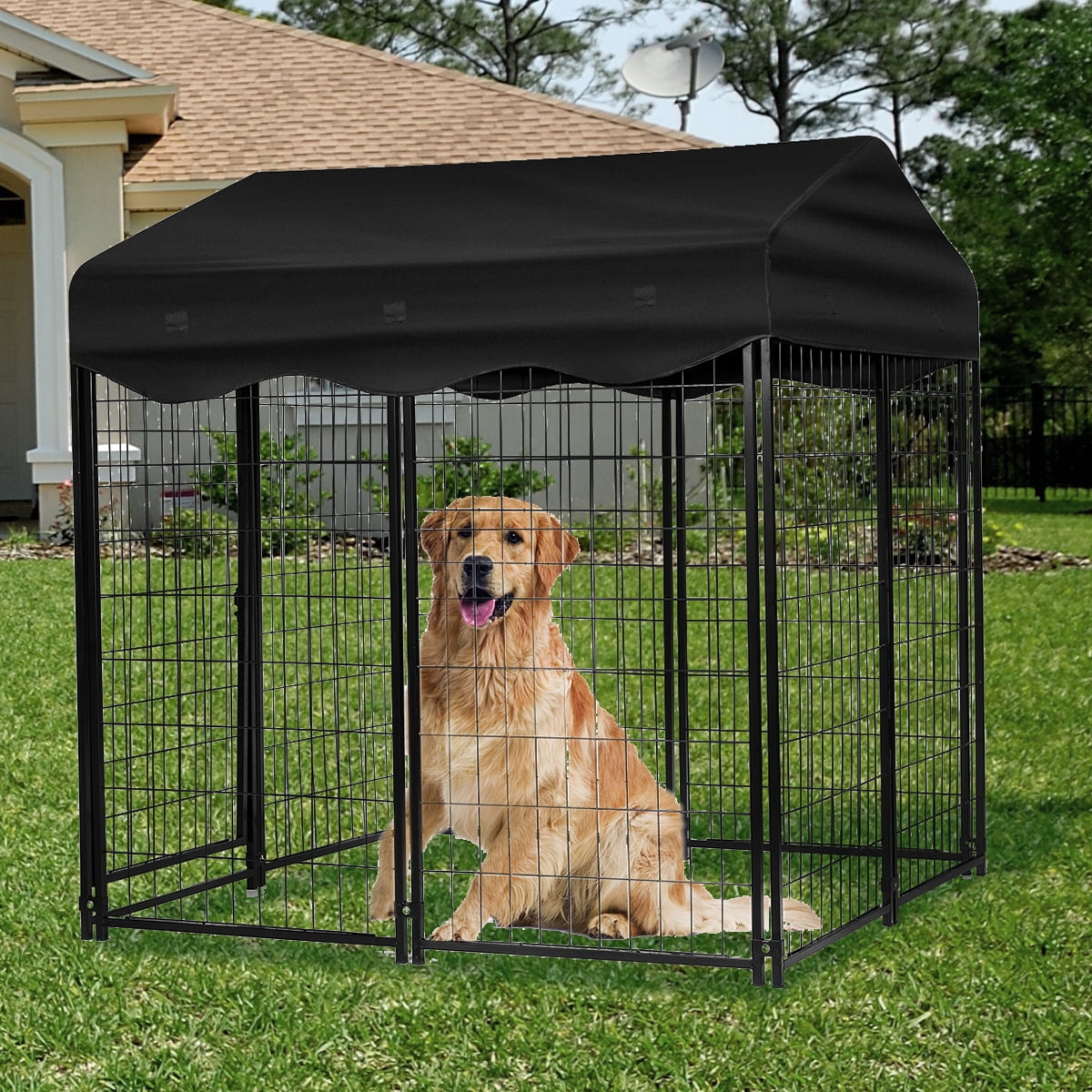 How Big Should An Outdoor Dog Kennel Be