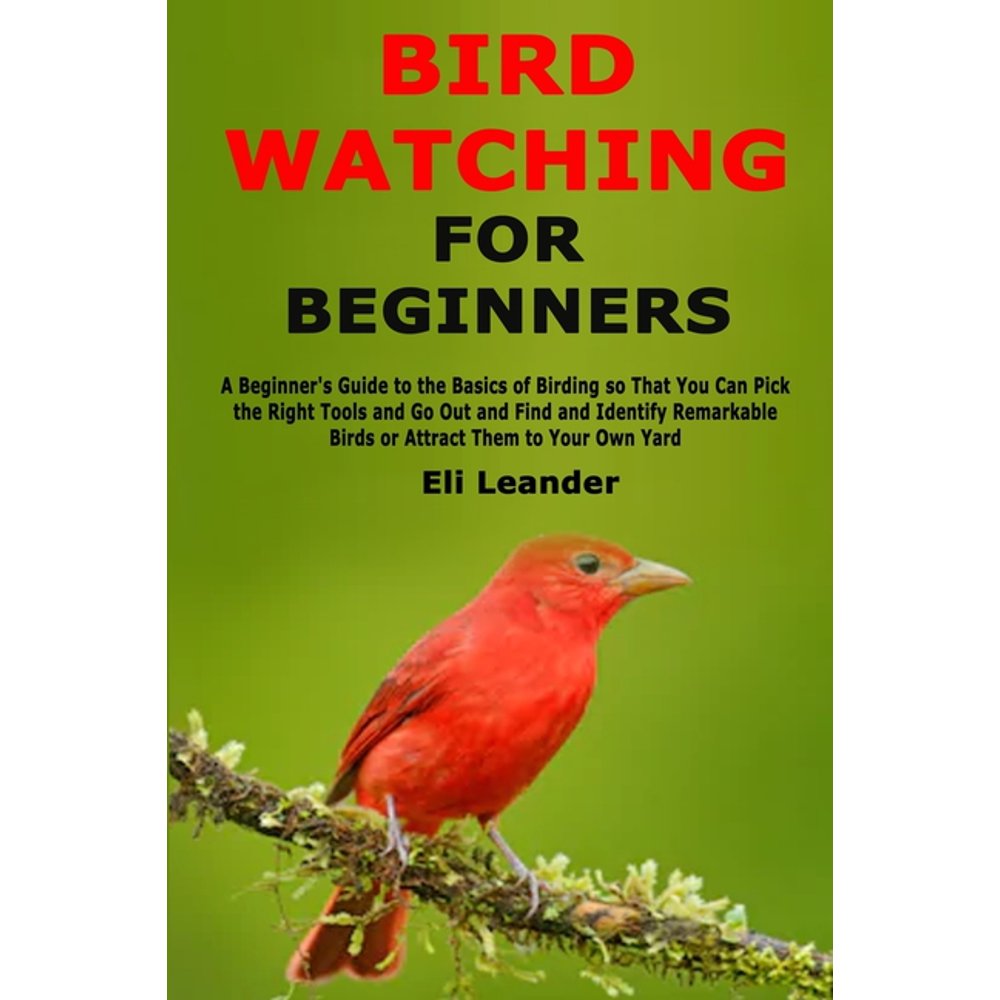 Bird Watching for Beginners A Beginner's Guide to the Basics of