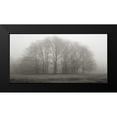 thumbnail image 2 of Iacobellis, Michael 24x14 Black Modern Framed Museum Art Print Titled - Gathering Trees, 2 of 5