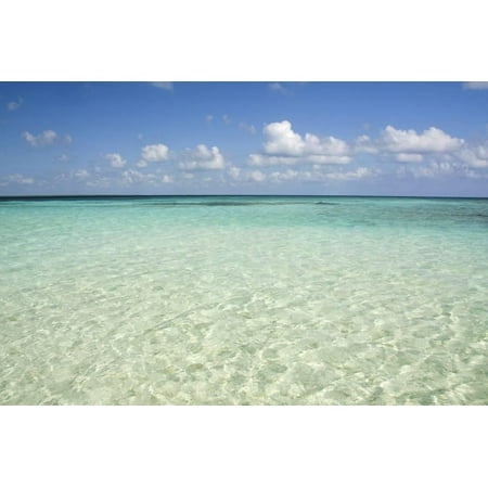 Clear Water View of the Caribbean Sea, Goff Caye, Belize Print Wall Art By Cindy Miller