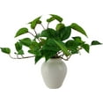 thumbnail image 4 of Mainstays Indoor Artificial Potted Golden Pothos, Green Color, Assembled Height: 13", Plastic Pot, 4 of 5
