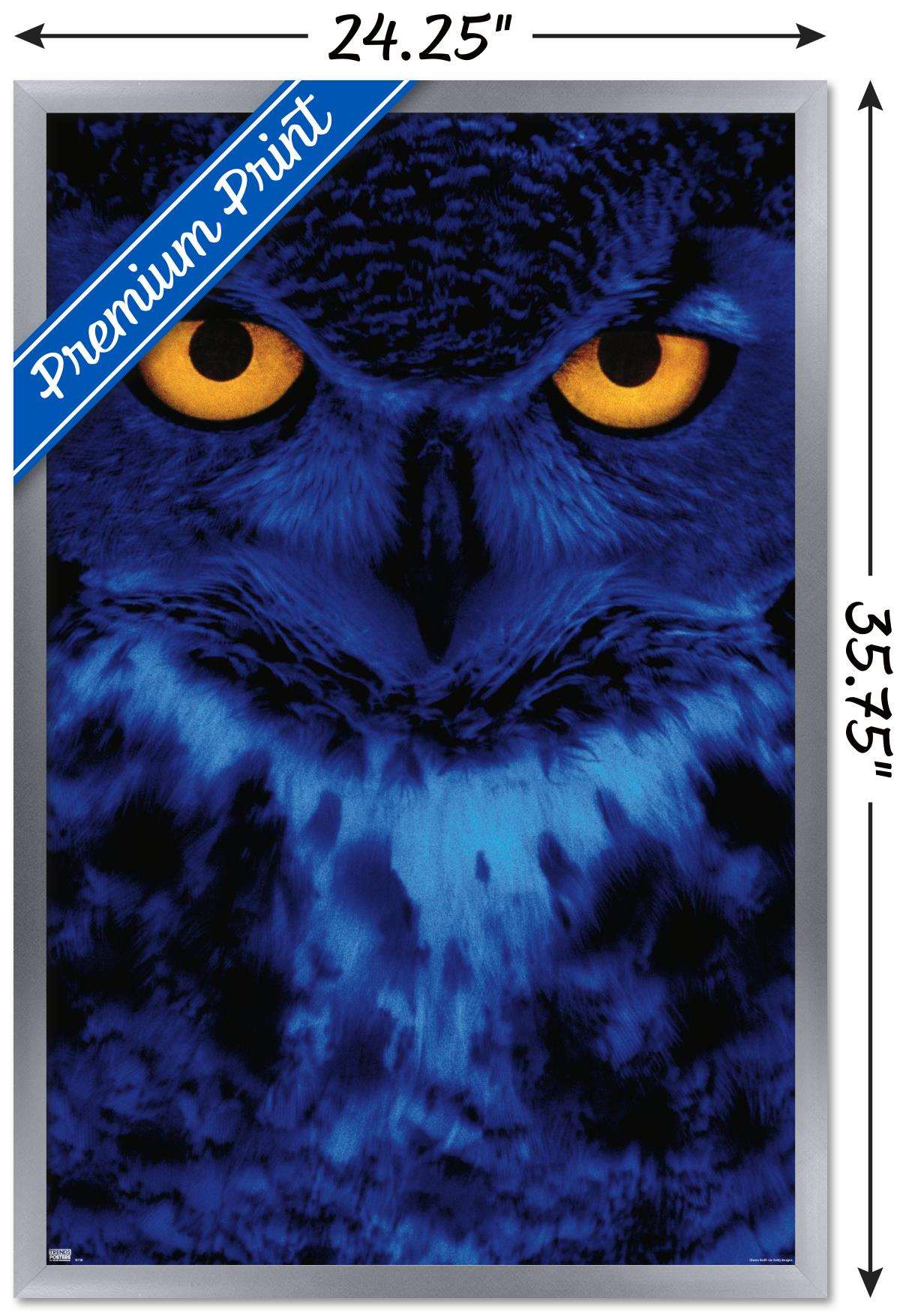Owl - Eyes Wall Poster, 22.375" x 34", Framed