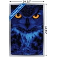 thumbnail image 3 of Owl - Eyes Wall Poster, 22.375" x 34", Framed, 3 of 3