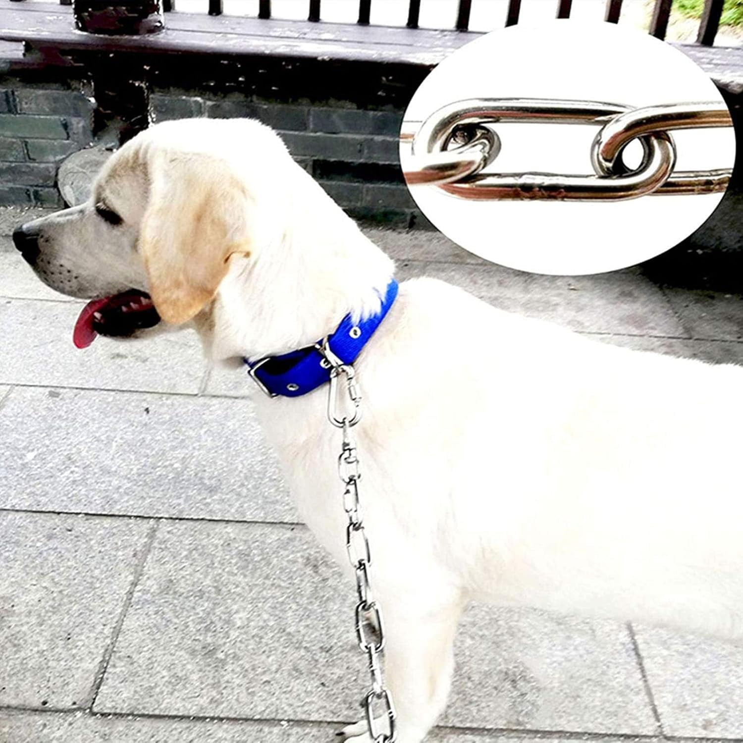 Stainless Steel Chain, Chew Proof Rust Proof Heavy Duty Metal Dog Runner Chain Leash Lead for Outside, Security Walnut Lock Update Ensures Improved Safety, Portable and Easy to