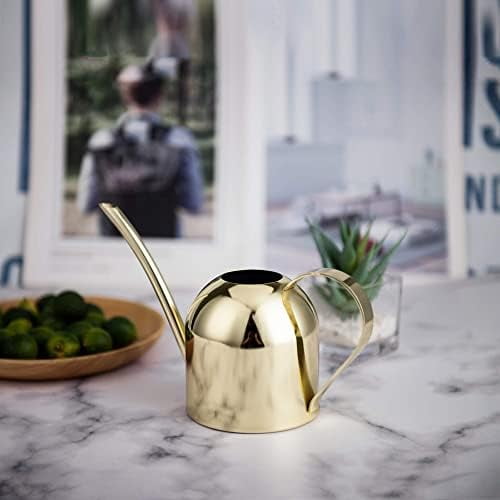 Gold Watering Can for Indoor Plants, Orchid, Bonsai - Stainless Steel With Long Spout for House, Desk, Office - 15oz/450ml